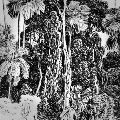 Ferdinand Bellermann, Selva tropical (detalle)