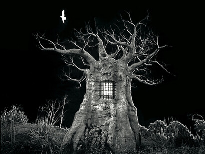 Darkroom Surrealist. Courtesy of Fabian & Claude Walter Galerie
