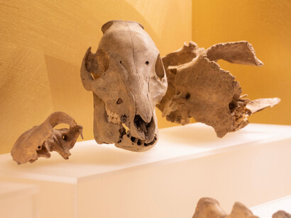 Aboa Vetus. Old Turku, exhibition view. Courtesy of Aboa Vetus Ars Nova