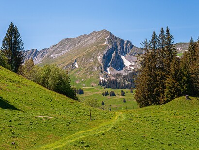 Alpi svizzere: "L’unico posto dove sento che potremmo sentirci sicuri e la nostra casa a Tarasp. Nessuno verrà a darci noia lassù"