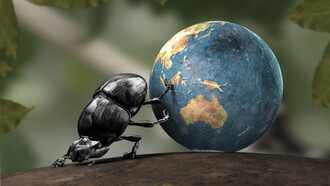 Gl insetti saranno i nuovi padroni del Pianeta?