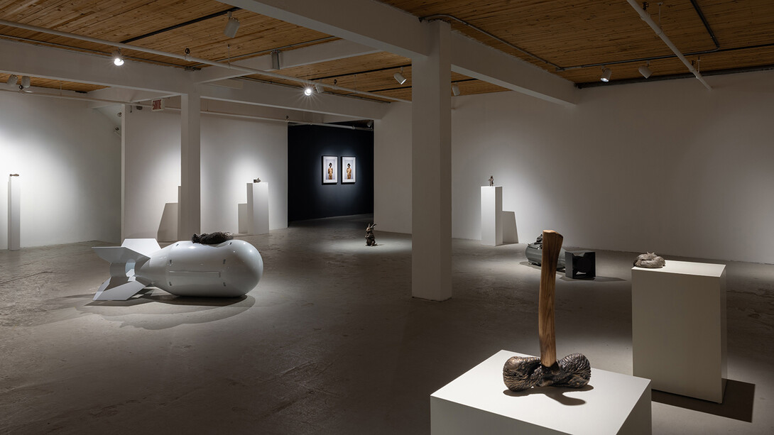 Brandon Vickerd, Phantom limb, exhibition view. Courtesy of Art Mûr