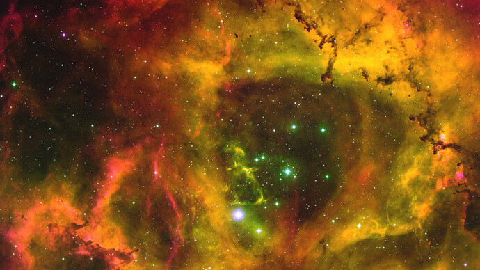 The Rosetta Nebula, T. A. Rector, B. Wolpa, M. Hanna (AURA/NOAO/NSF)
