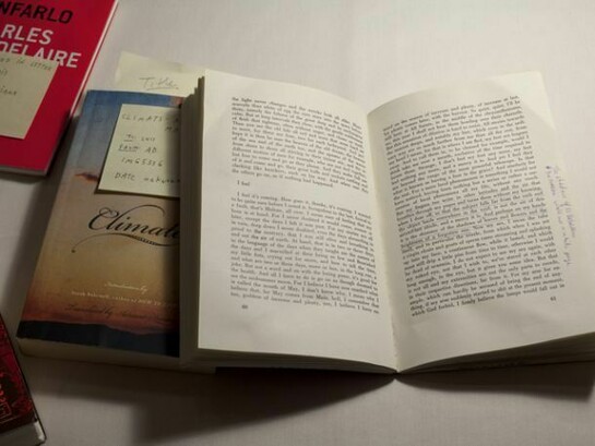 Side by Side They Looked into The Books as into a Double Mirror, seeing Each Other’s Faces as well as Their Own, Marked books, 2013-ongoing, Master bedroom bedside table after Luis Barragán, Bookstand after Luis Barragán