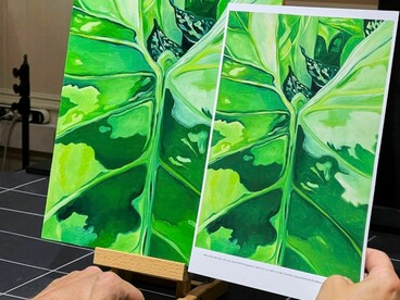 Part of the edition master color-matching process. Comparing a test print to the original art in the studio before the final print is made