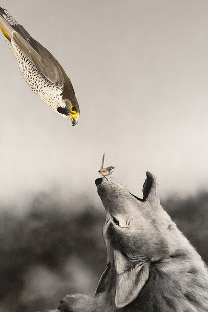 Heimir Bjorgulfsson, This will solve everything, 2024. Courtesy of Gerald Peters Gallery