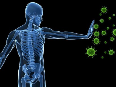 The immune system preventing viruses from entering 