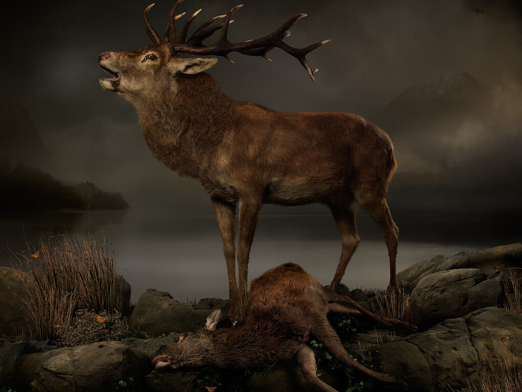 Joseph McGlennon, Skyestag 4