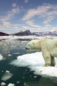 Le conseguenze del riscaldamento globale