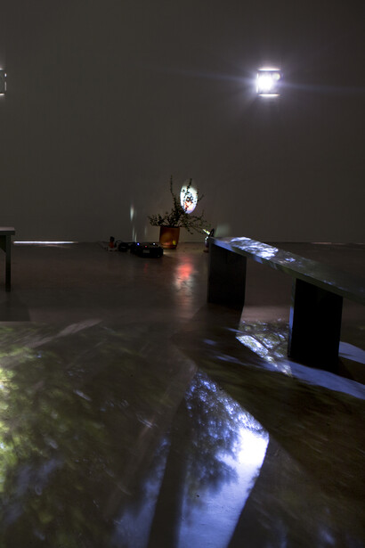 Carolina Charry & Savia Solaris. Courtesy of Museo La Tertulia