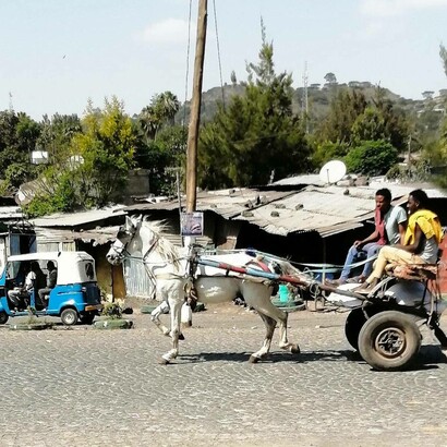 Trasporto con cavallo, Addis Addeba, Etiopia, Africa