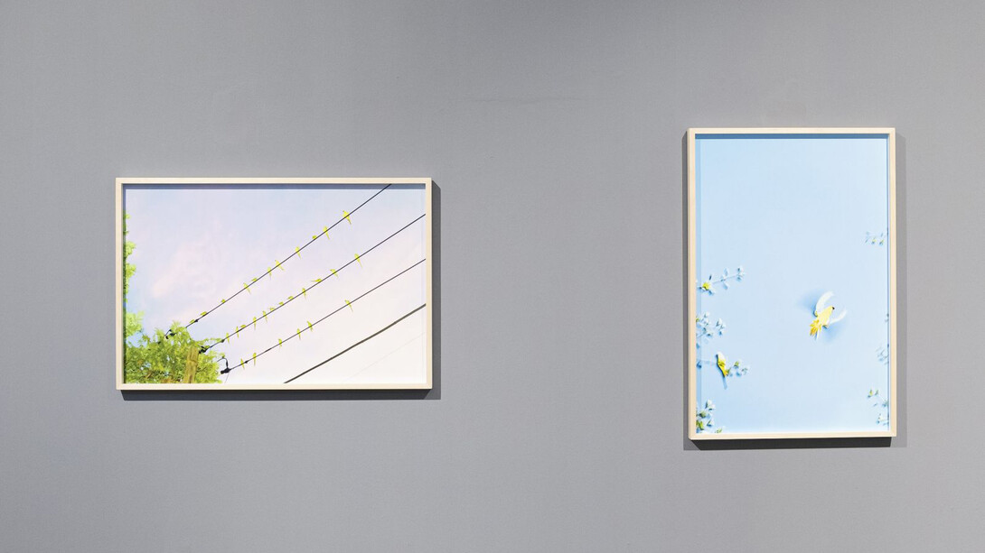 Yoshinori Mizutani. Courtesy of Christophe Guye Galerie