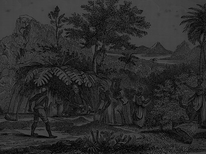 Examining the historical aspects of slavery: from ancient practices in Greece and Rome to the African slave trade and the political history of slavery in the United States