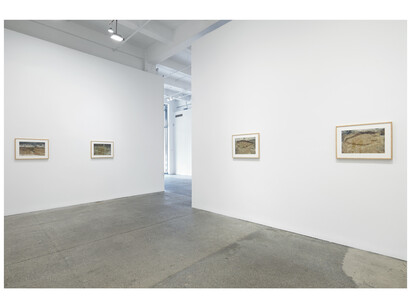 Installation view, Galerie Lelong & Co., New York, (Un)belonging, June 22-August 4, 2023. Courtesy Galerie Lelong & Co., New York. Photo: Thomas Müller 