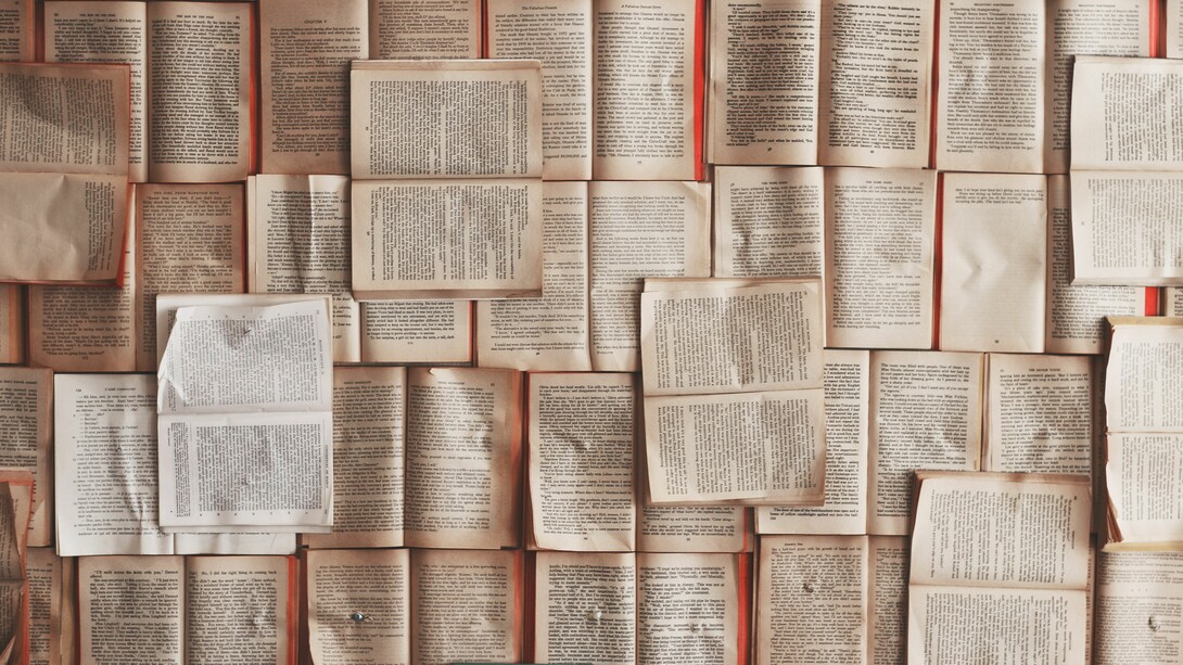 Livros, livros, livros