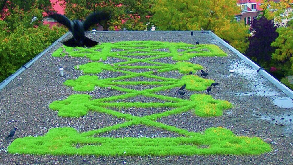 Marinus Boezem. Courtesy of Galleria Fumagalli