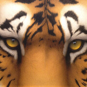 Tom Palmore, Tiger Eyes II, 2016. Courtesy of J. Cacciola Gallery W