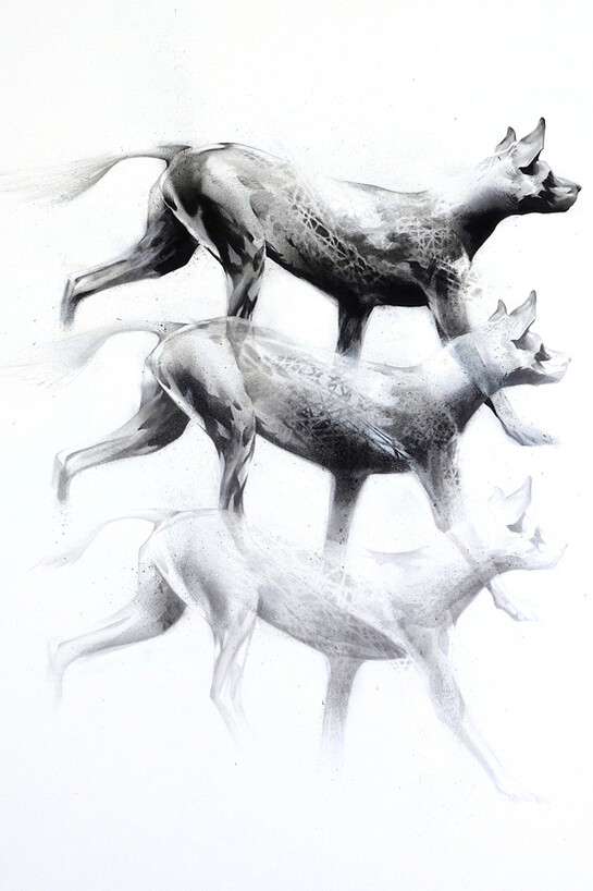 Li-Hill, Constellations, (Wild Dog – Lycaon pictus), Graphite and aerosol on paper, 30in x 22in (76 x 56cm)