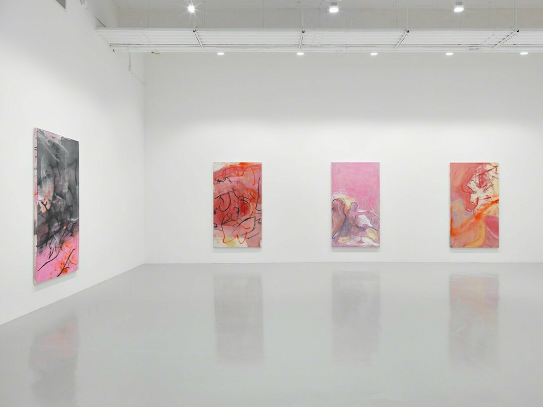 Rita Ackermann, Kline Rape, Exhibition view. Courtesy of Hauser & Wirth