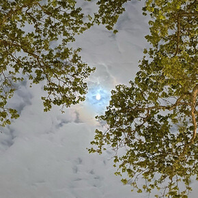 Andrew Mer aka BigFusss, 5/4/23, 2023. Courtesy of Steven Kasher Gallery