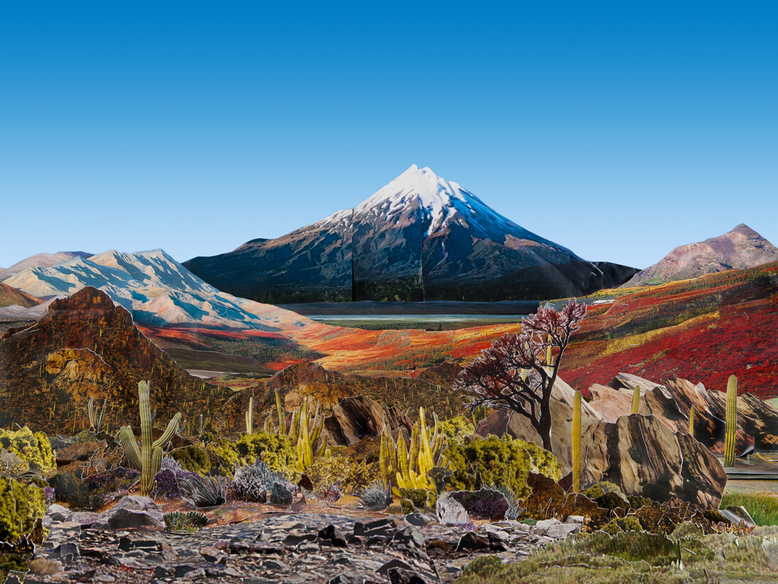 Justine Blau, The Circumference of the Cumanan Cactus, 2010, © the artist, courtesy of Huxley-Parlour Gallery and Osborne Samuel