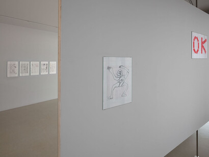 Anna Niesterowicz, 20 MG ok, exhibition view. Courtesy of Foksal Gallery