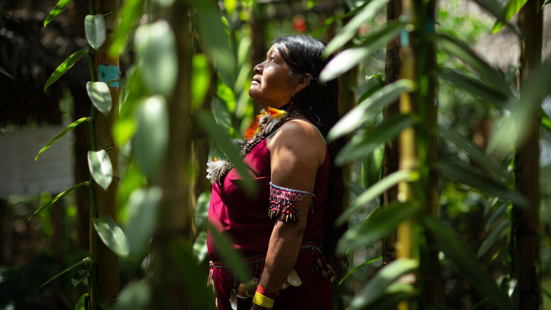 Comunidades indígenas ven amenazada su subsistencia por el arrebato y la destrucción de sus tierras ancestrales