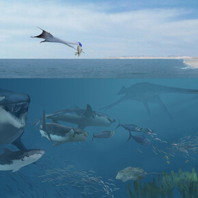 Sea Monsters Unearthed. Courtesy of Smithsonian's National Museum of Natural History