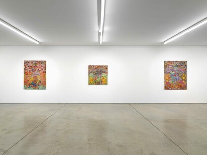 Giuditta Branconi, Cannon fodder, exhibition view. Courtesy of L.U.P.O.