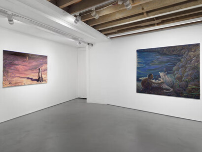 Timothy Lai, No swans, exhibition view. Courtesy of Josh Lilley Gallery 