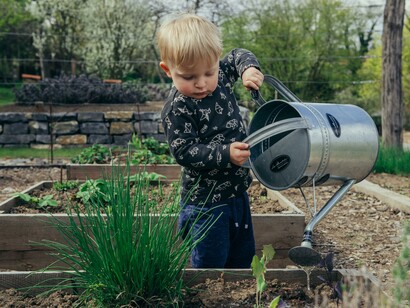 By growing vegetables, children learn nature’s way