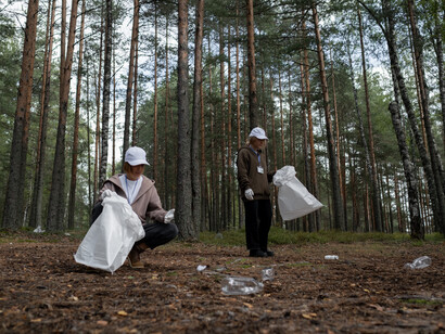 Plastic bottles in the forest being collected for the garbage