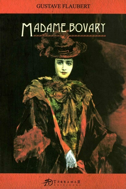 Accueil de Madame Bovary