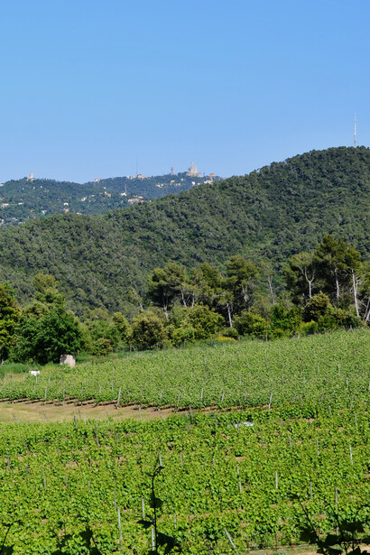 Vista cercana de la Sierra de Collserola y un pueblo a distancia