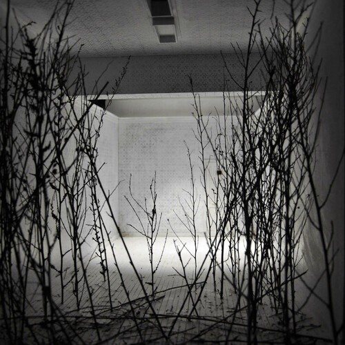 Spazio Visivo, teatrino drops 2010