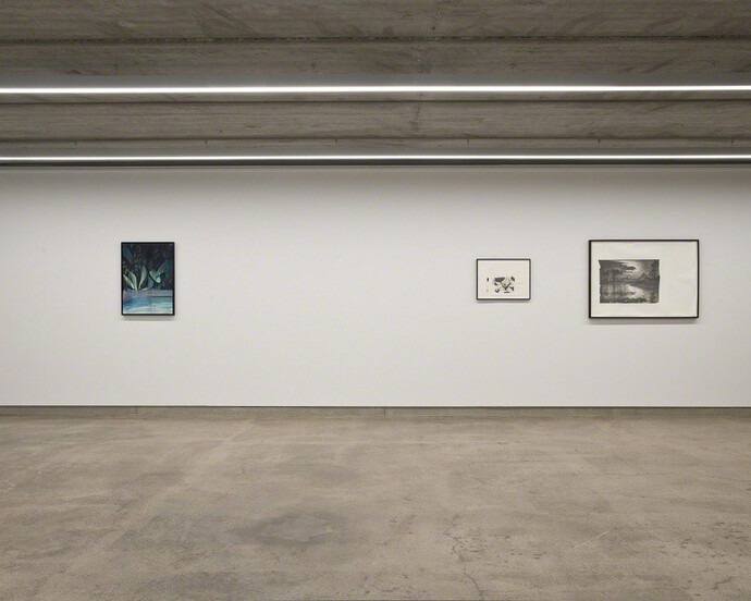 Marc Bauer. Courtesy of Deweer Gallery