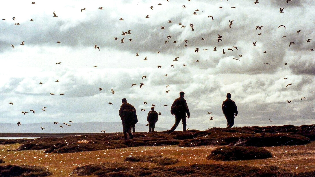 Marineros británicos del HMS Cardiff llegan a tierra en la isla Borbón (Pebble Island), junio de 1982