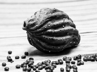 Witjai - I Exist #amazon11