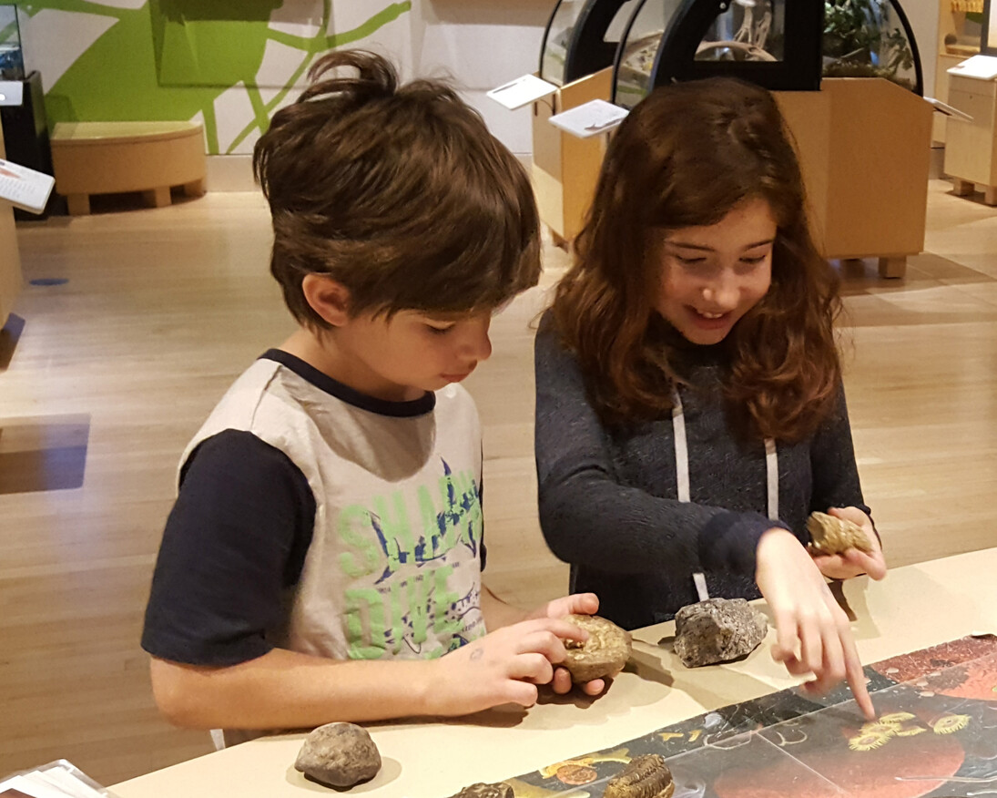 Nature Live. Courtesy of Canadian Museum of Nature