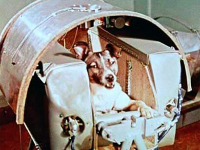 Laika nella capsula di addestramento prima della sua missione spaziale