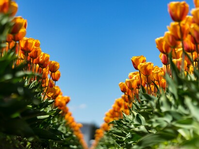 La natura si fonde col cielo