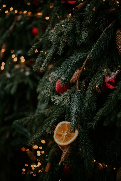 Decorazioni sull'albero di Natale con frutti 