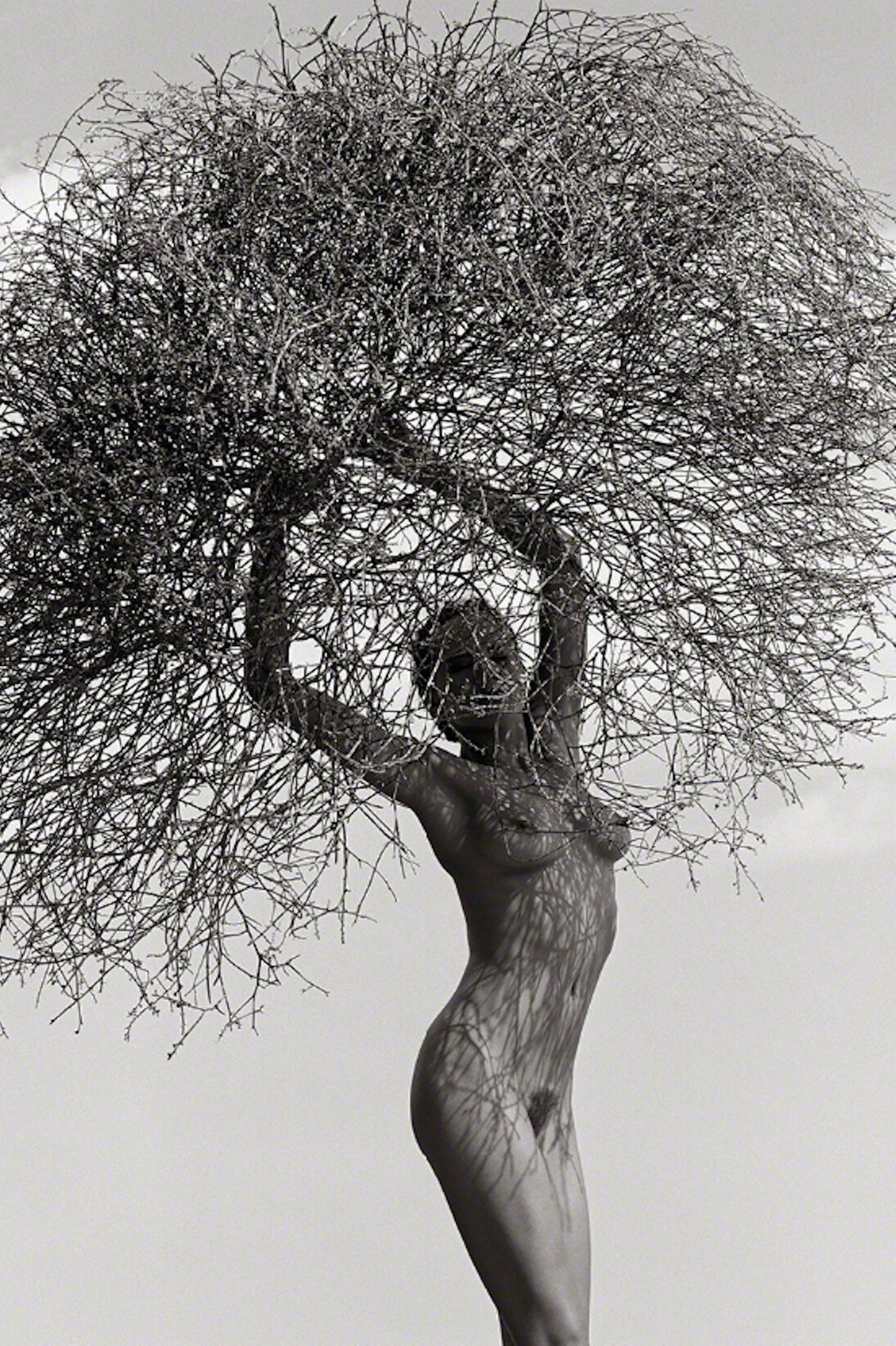 Herb Ritts, Neith with Tumbleweed, Paradise Cove, 1986. Courtesy of Atlas Gallery 