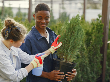 Young men and women planting trees together during a community rebuilding and cooperation workshop