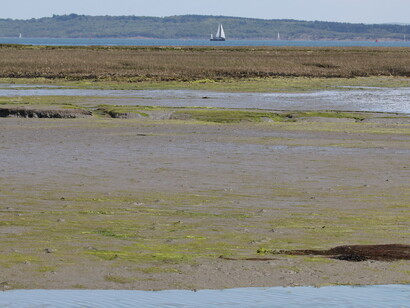Tidal Flats, Keyhaven Marshes, ph. Gehan de Silva Wijeyeratne