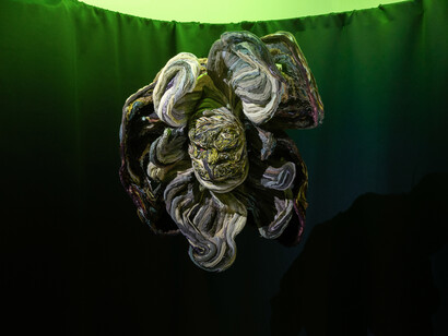 Various artists, If you're afraid of wolves, you may go to the woods, exhibition view. Courtesy of Galerie 35M2. Photo by Kristýna Opálková