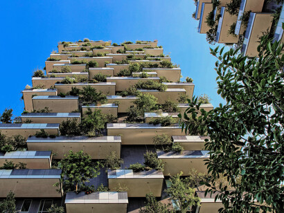Verde urbano