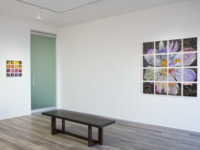 Gail Roberts, Natural selection, exhibition view. Courtesy of Quint Gallery
