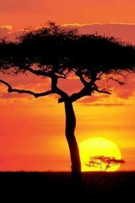 Sudán del Sur. Atardecer en África