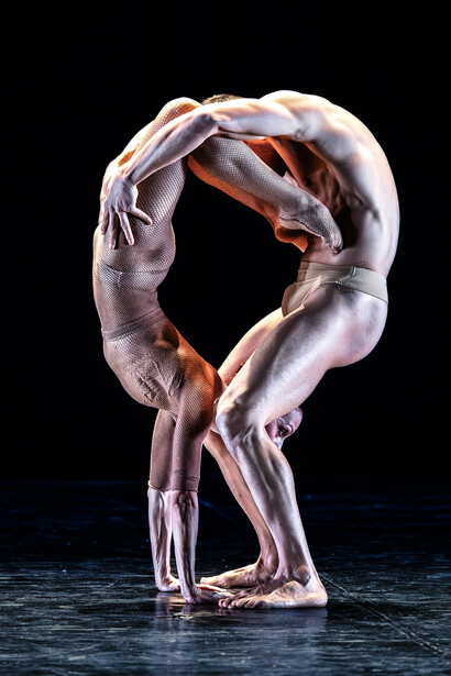 Festival di danza contemporanea, edizione passata, vista della performance. Cortesia del Festival di danza contemporanea